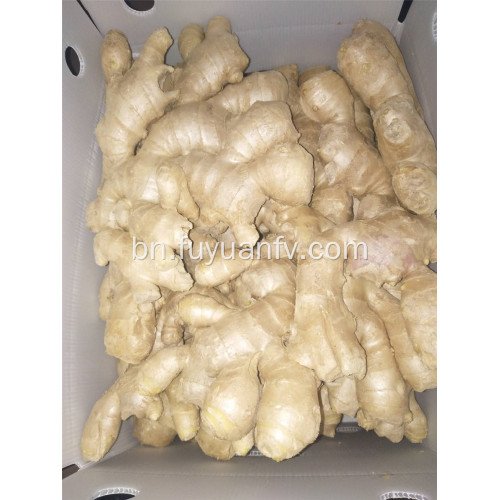 300g এবং আপ বায়ু শুকনো আদা